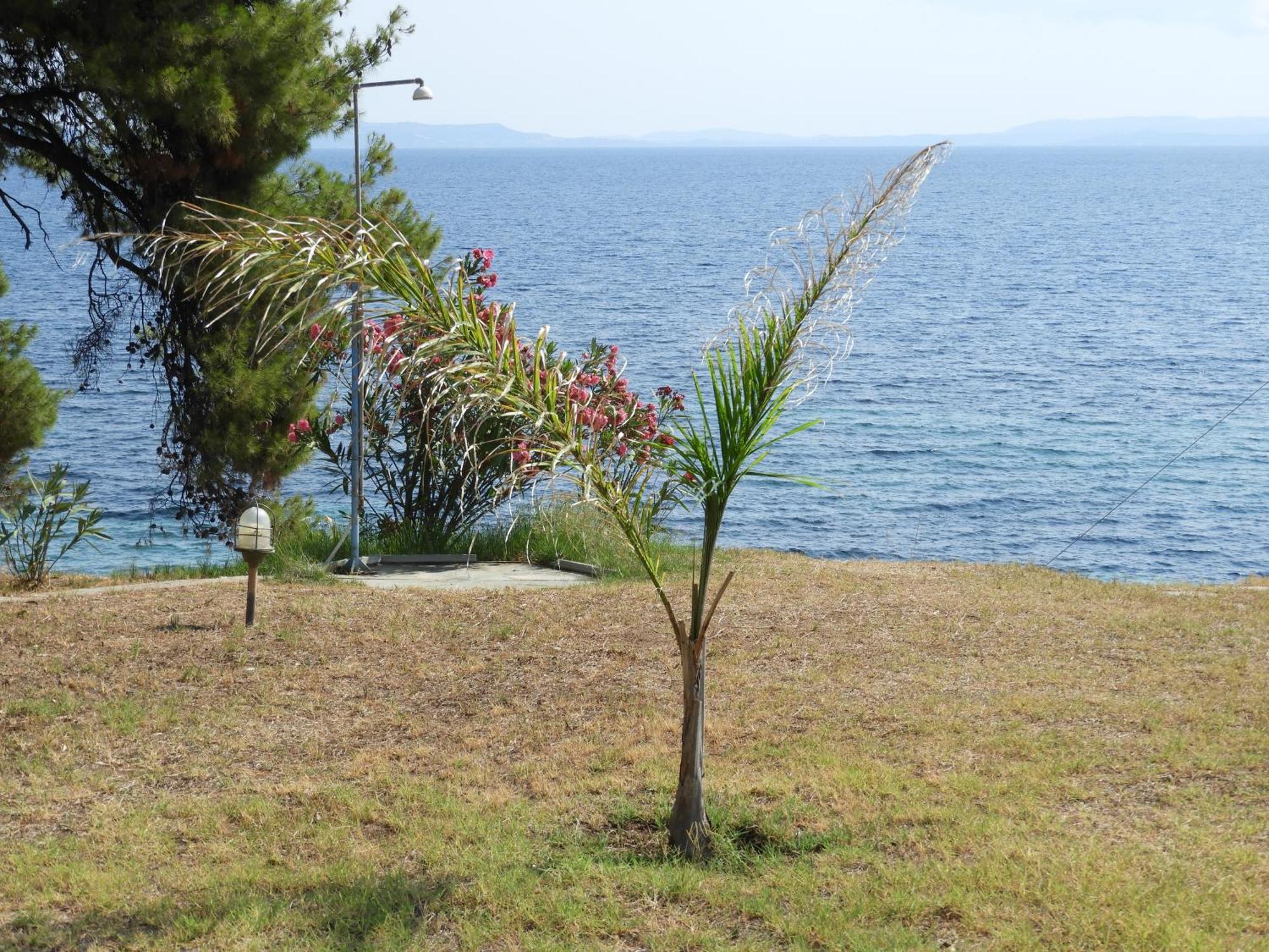 Sangue Blu Beachfront Villa Apartment Agios Nikolaos  Exterior photo